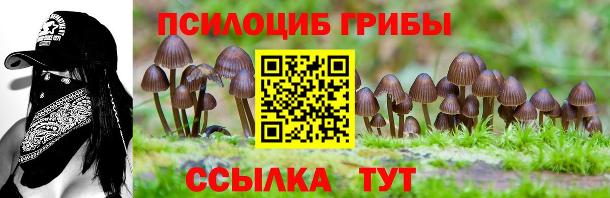 Малгобек  Псилоцибиновые грибы мухоморы  Вход с VPN 